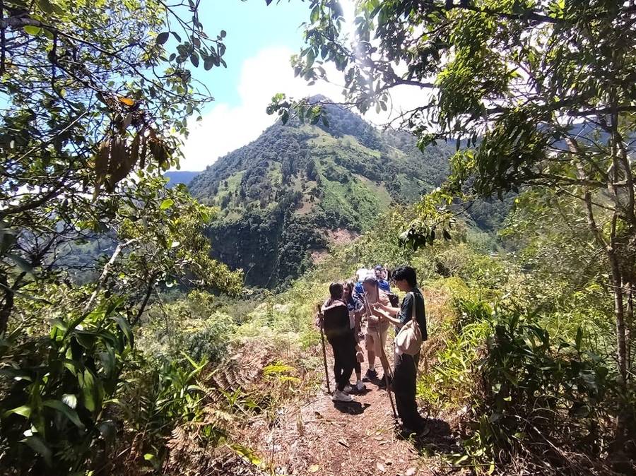 Grupo de huéspedes caminando por el sendero de montaña